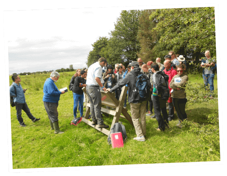 A college group tour of Rathcroghan